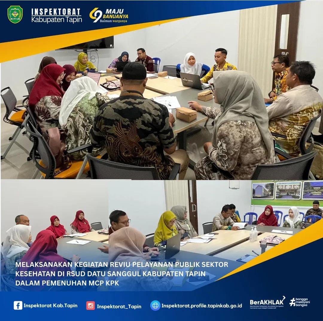 Reviu Pelayanan Publik Sektor Kesehatan di RSUD Datu Sanggul Kabupaten Tapin
