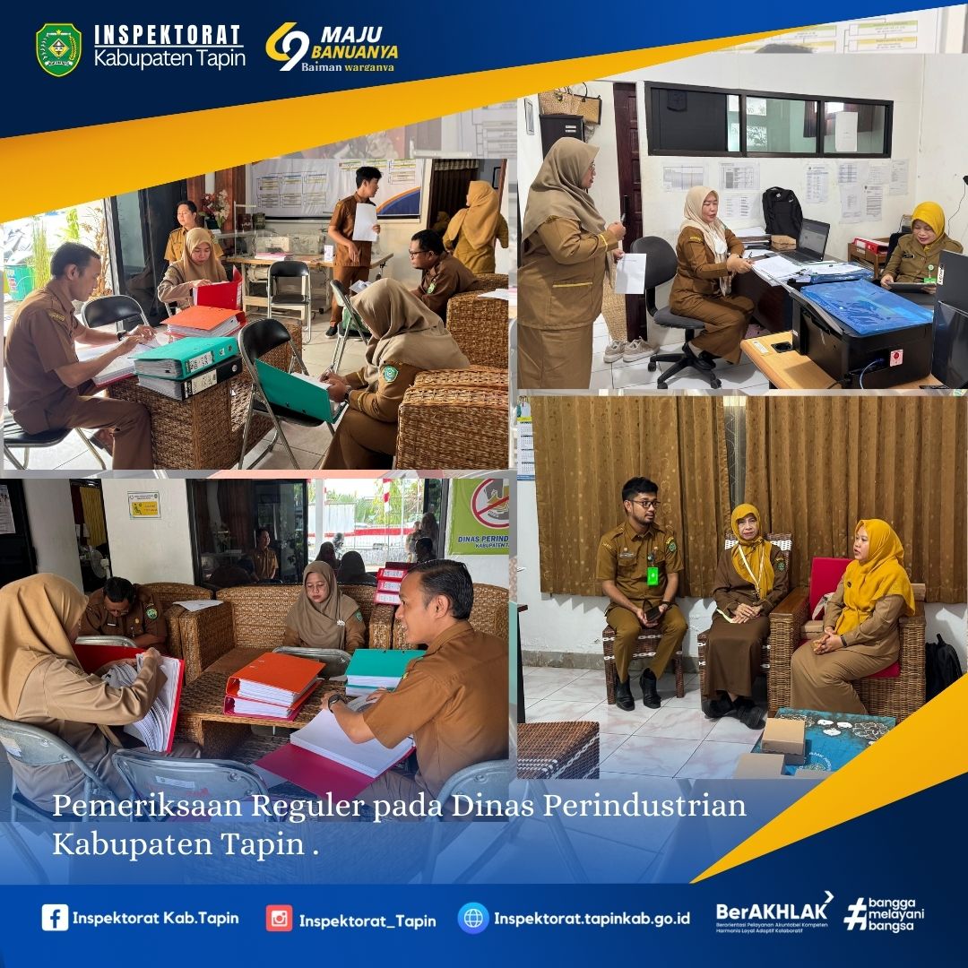 Pemeriksaan Reguler pada Dinas Perindustrian Kabupaten Tapin .